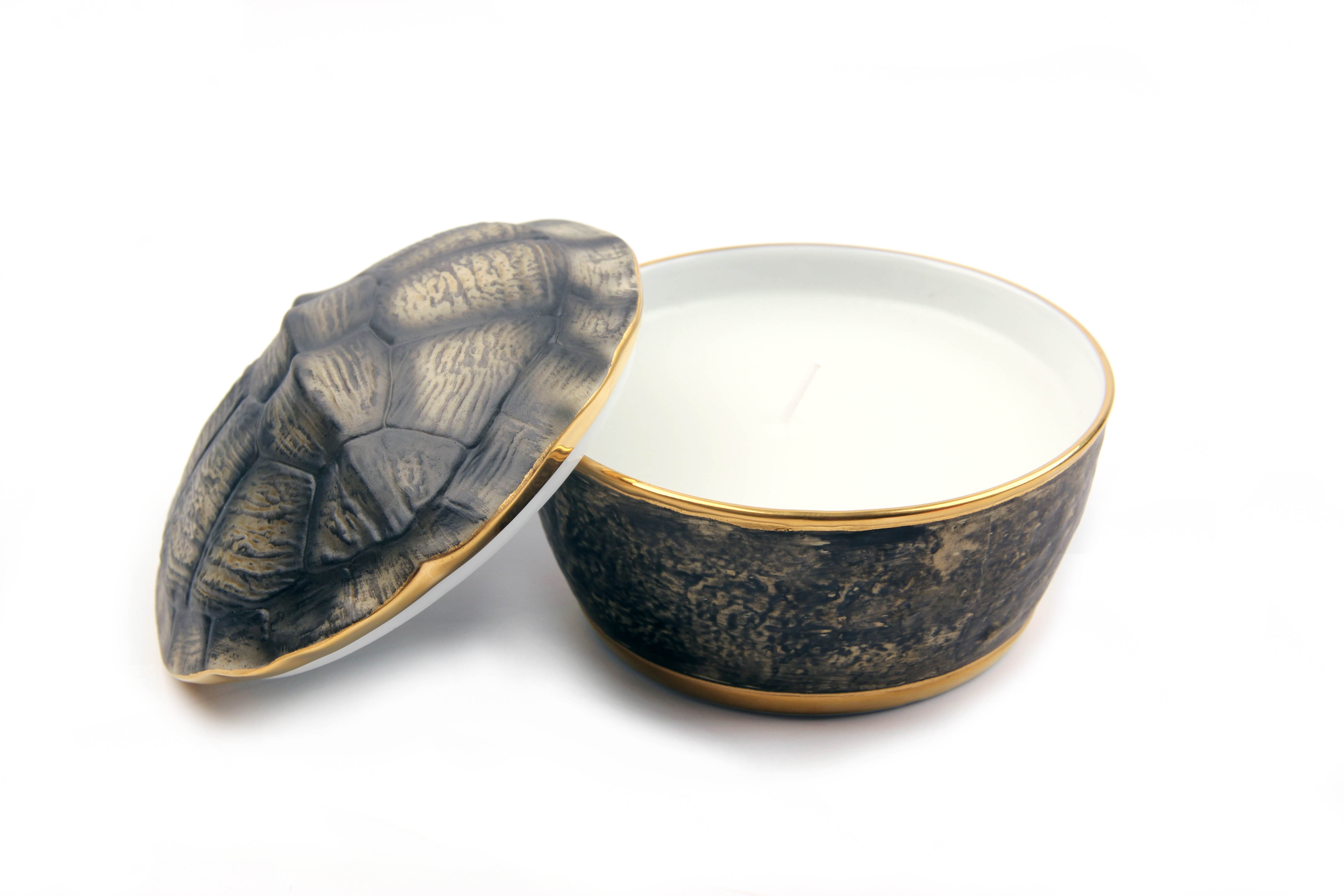 turtle candle